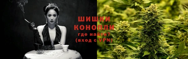 ПСИЛОЦИБИНОВЫЕ ГРИБЫ Горняк