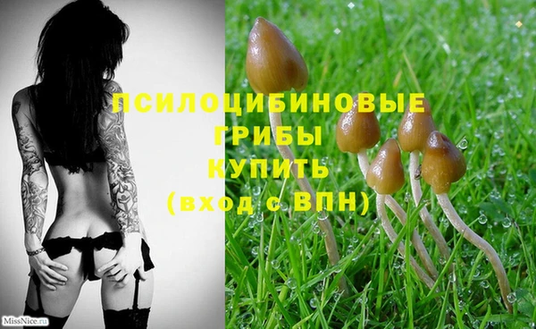 тгк Вязники