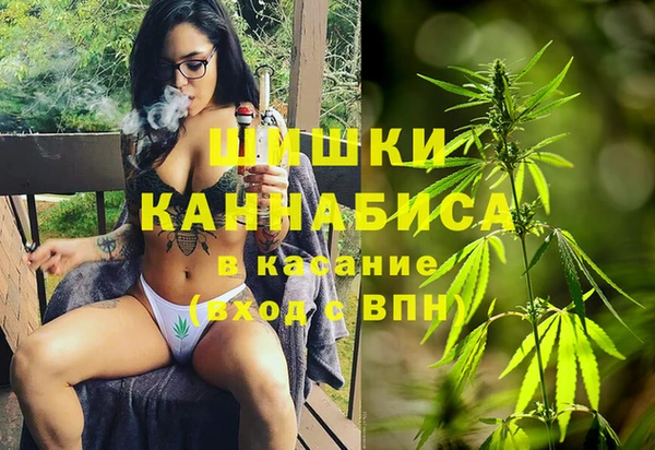 apvp Гусиноозёрск