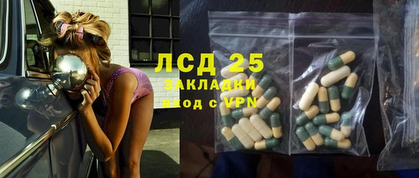 хмурый Вяземский