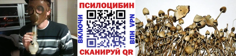 МЕГА ссылки  Дмитровск  Галлюциногенные грибы GOLDEN TEACHER 